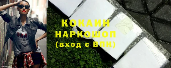 индика Ельня